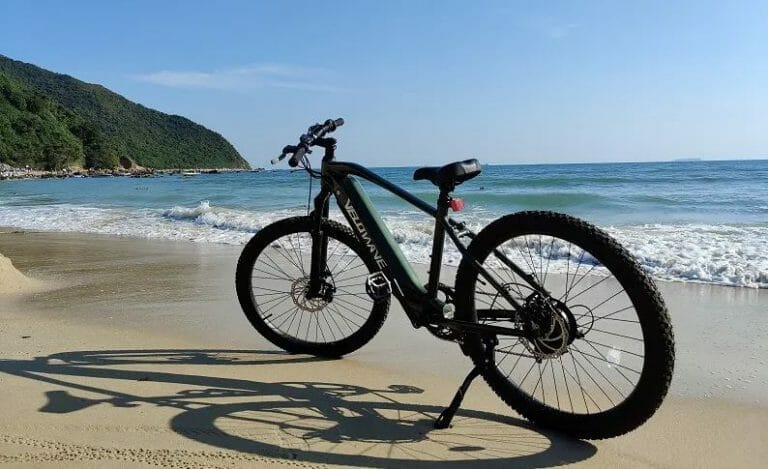 velowave electric bike review